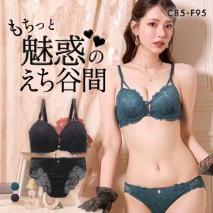 再販 エレガント 脇肉を谷間に変える脇高ブラ シャルムレーシークロス ソフトワイヤー ブラセット CDEF80-95 脇肉 グラマー 谷間  盛り胸 美胸 寄せ Elegant