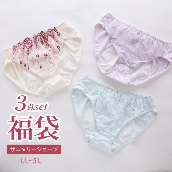 福袋 大きいサイズのサニタリーショーツ 3枚セット スタンダード 羽根つき対応 夜用対応 LL 3L 4L 5L お買い得 オシャレ おまかせ グラマー アソート