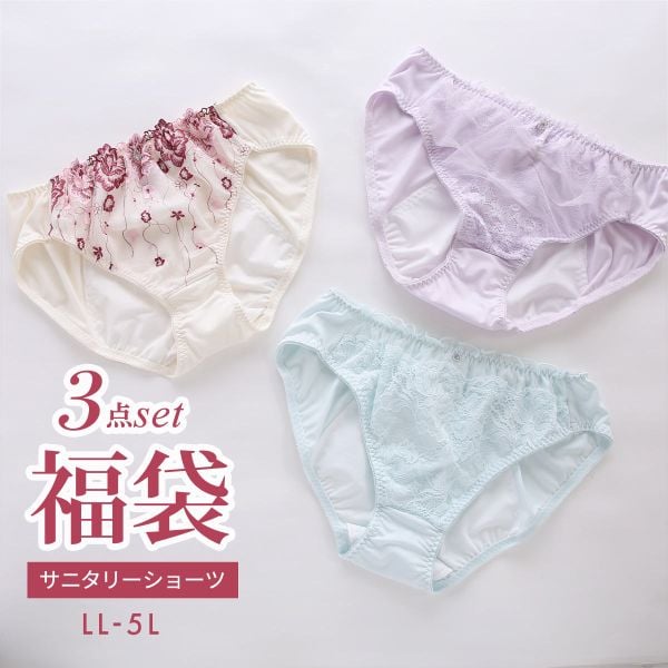 福袋 大きいサイズのサニタリーショーツ 3枚セット スタンダード 羽根つき対応 夜用対応 LL 3L 4L 5L お買い得 オシャレ おまかせ グラマー アソート