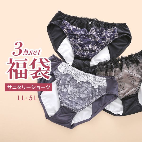 福袋 大きいサイズのサニタリーショーツ 3枚セット スタンダード 羽根つき対応 夜用対応 LL 3L 4L 5L お買い得 オシャレ おまかせ グラマー アソート