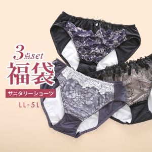 福袋 大きいサイズのサニタリーショーツ 3枚セット スタンダード 羽根つき対応 夜用対応 LL 3L 4L 5L お買い得 オシャレ おまかせ グラマー アソート