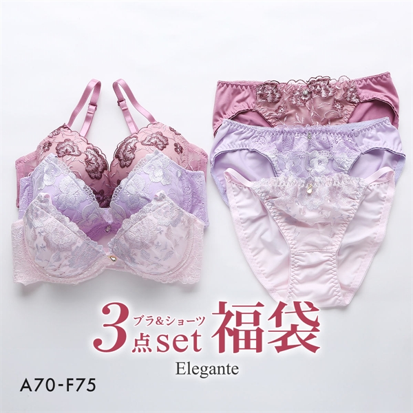 エレガント ブラジャー ショーツ 3組セット 福袋 おまかせ ABCDEF Elegante
