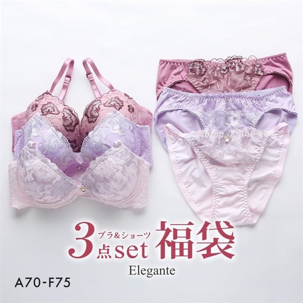 エレガント ブラジャー ショーツ 3組セット 福袋 おまかせ ABCDEF Elegante