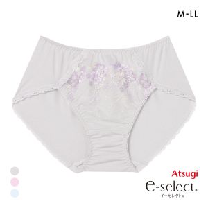 アツギ イーセレクト e-select ペアショーツ スタンダード 美しく整える ATSUGI M L LL 大きいサイズ