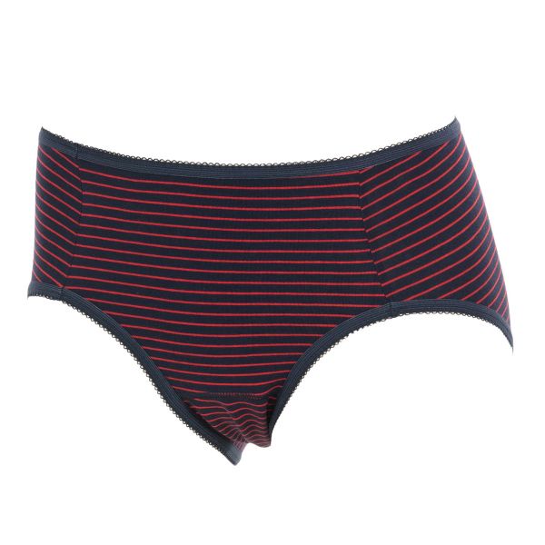 アツギ ATSUGI シーフリー Shefree サニタリーショーツ ボーダー柄 軽い日 生理用 内側ポケット付 綿混