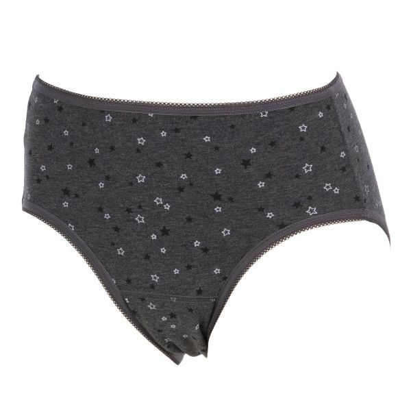 アツギ ATSUGI シーフリー Shefree サニタリーショーツ 星柄 特に多い日 生理用 LL 3L 大きいサイズ 綿混 ロング防水シート