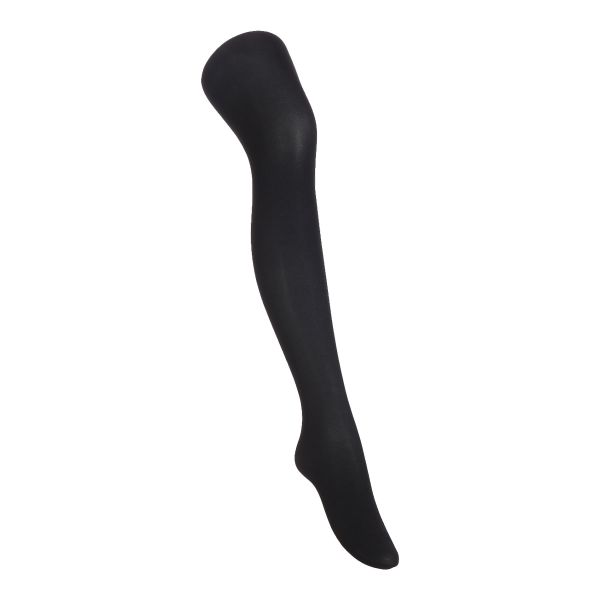 アツギ ATSUGI はくホカロン タイツ 80デニール 2足組 交編