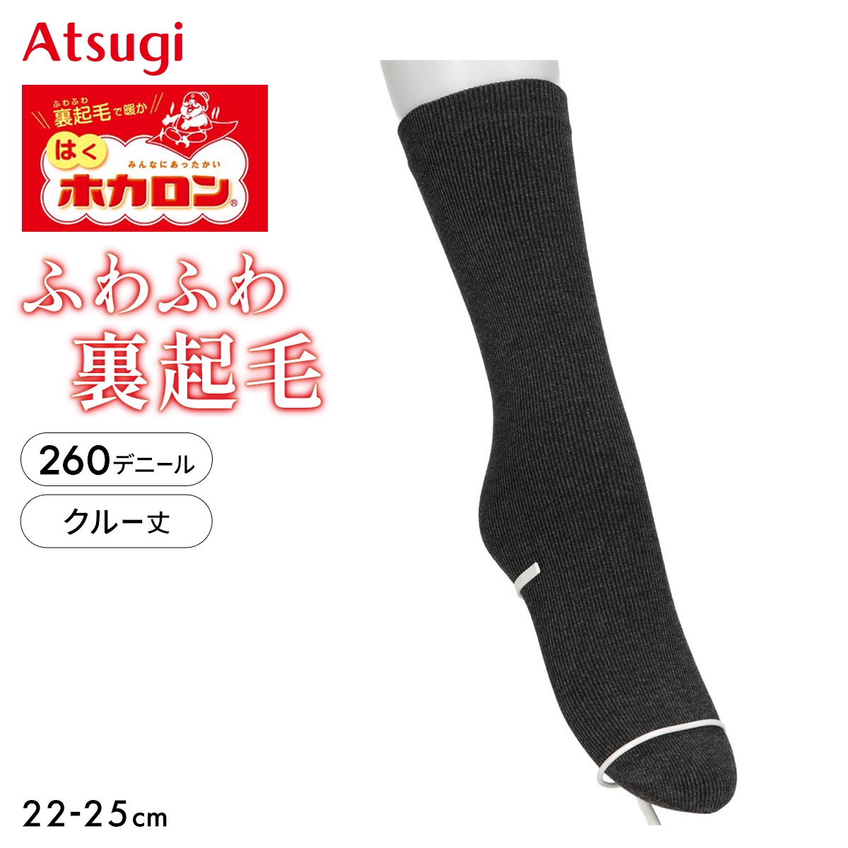 はくホカロン ふわふわ裏起毛 ソックス 260デニール相当(CGY-チャコールグレー-22-25cm)