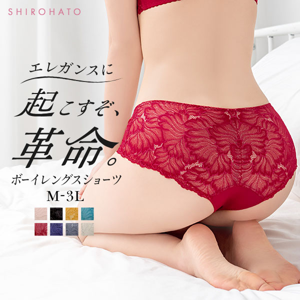 モードマリー Mode Marie×SHIROHATO 超脇肉革命 ボーイレングス ショーツ 総レース M L LL 3L 単品