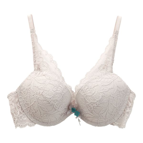 アンブラ ANNEBRA Casablanca IloveChange デコルテレース ブラジャー BCDEFG 大きいサイズ 単品