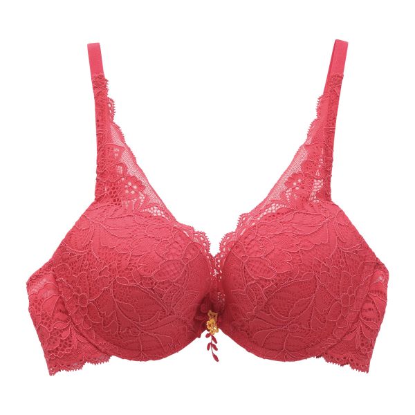 アンブラ ANNEBRA Casablanca IloveChange デコルテレース ブラジャー BCDEFG 大きいサイズ 単品