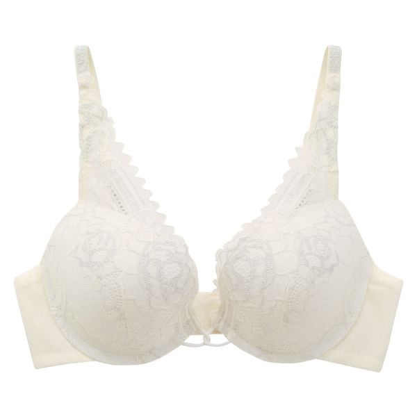 アンブラ ANNEBRA Sahara デコルテレース ブラジャー プッシュアップ BCDEFG 大きいサイズ 単品