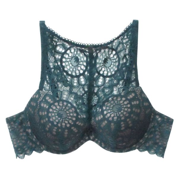 アンブラ ANNEBRA Charisma 2 デコルテレース ブラジャー BCDEFG 大きいサイズ 単品