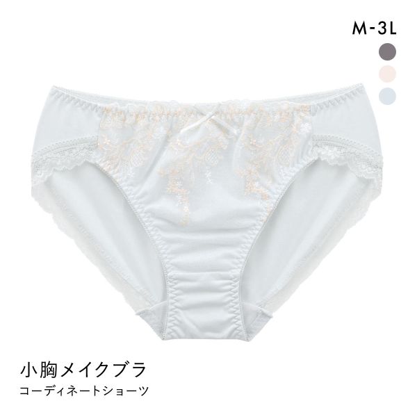 バストすっきり 小胸メイクブラ ペアショーツ レディース スタンダード ノーマル M L LL 3L 大きいサイズ