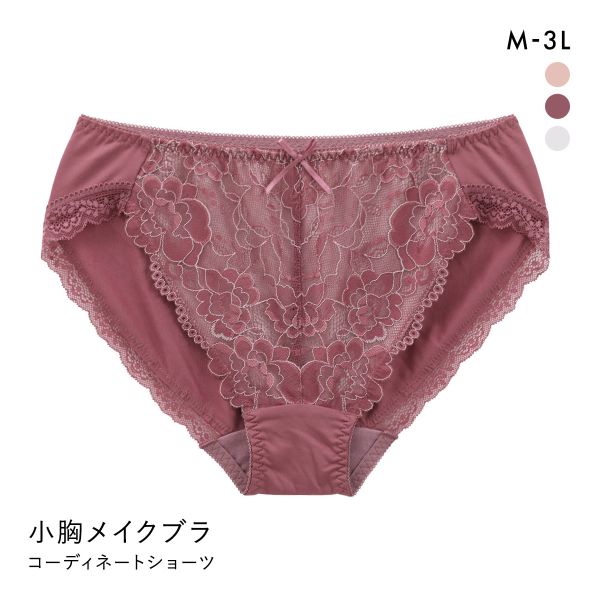 すっきり細見え 小胸メイクブラ ペアショーツ レディース スタンダード ノーマル M L LL 3L 大きいサイズ