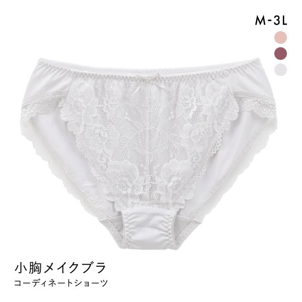 すっきり細見え 小胸メイクブラ ペアショーツ レディース スタンダード ノーマル M L LL 3L 大きいサイズ