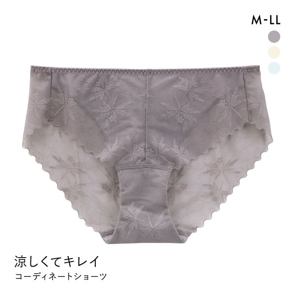 涼しくキレイ 涼感ブラ ペアショーツ レディース スタンダード ノーマル M L LL 大きいサイズ