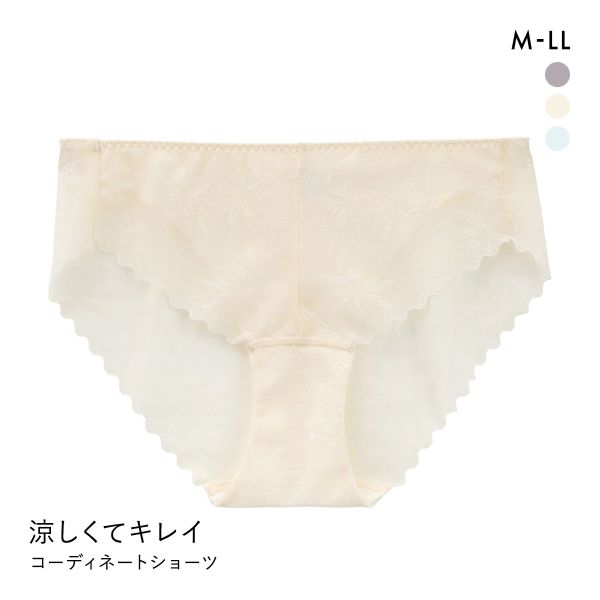 涼しくキレイ 涼感ブラ ペアショーツ レディース スタンダード ノーマル M L LL 大きいサイズ