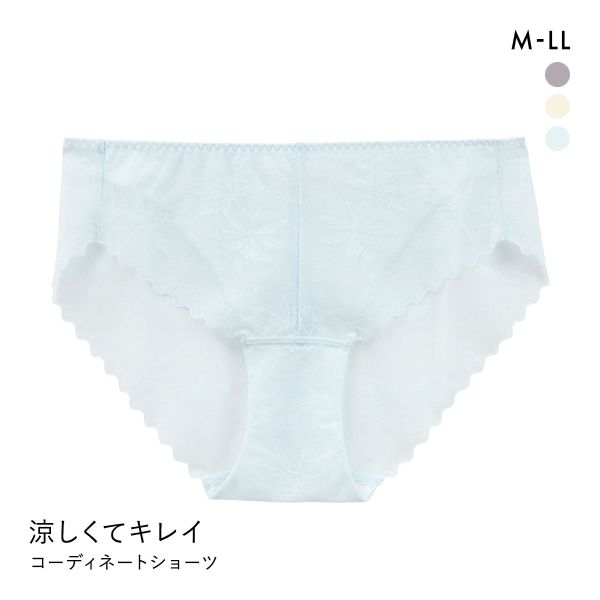 涼しくキレイ 涼感ブラ ペアショーツ レディース スタンダード ノーマル M L LL 大きいサイズ