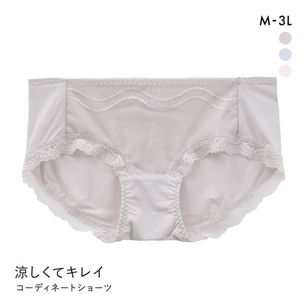 涼しくてキレイ 小胸メイクブラ ペアショーツ レディース スタンダード ノーマル M L LL 3L 大きいサイズ