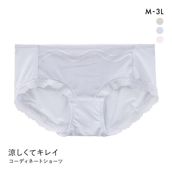 涼しくてキレイ 小胸メイクブラ ペアショーツ レディース スタンダード ノーマル M L LL 3L 大きいサイズ