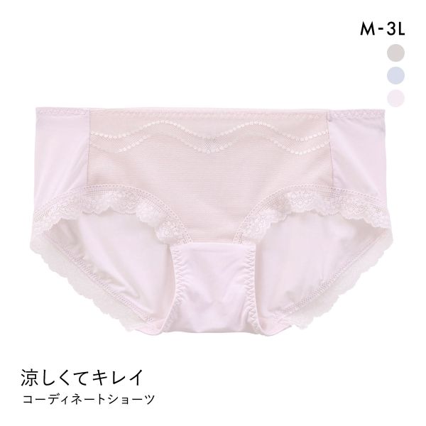 涼しくてキレイ 小胸メイクブラ ペアショーツ レディース スタンダード ノーマル M L LL 3L 大きいサイズ