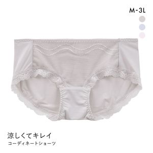 涼しくてキレイ 小胸メイクブラ ペアショーツ レディース スタンダード ノーマル M L LL 3L 大きいサイズ