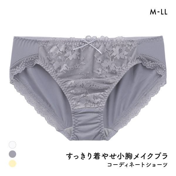 すっきり着やせブラ ペアショーツ レディース スタンダード ノーマル M L LL 大きいサイズ