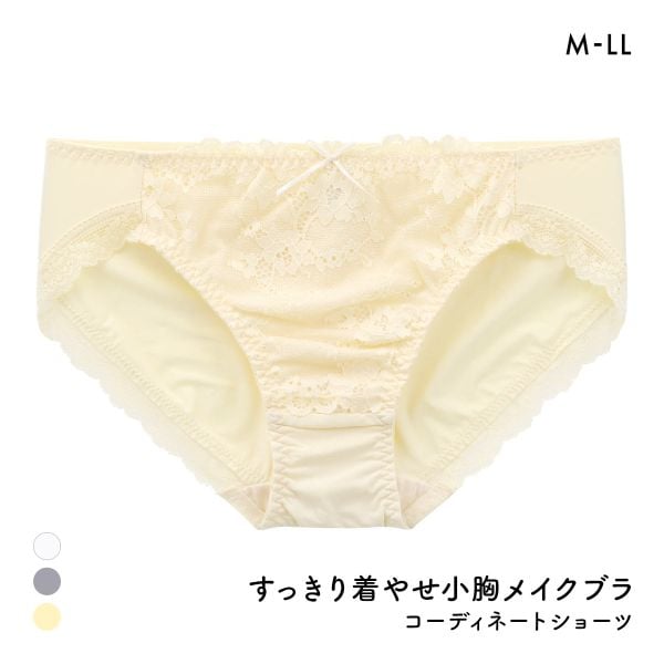 すっきり着やせブラ ペアショーツ レディース スタンダード ノーマル M L LL 大きいサイズ