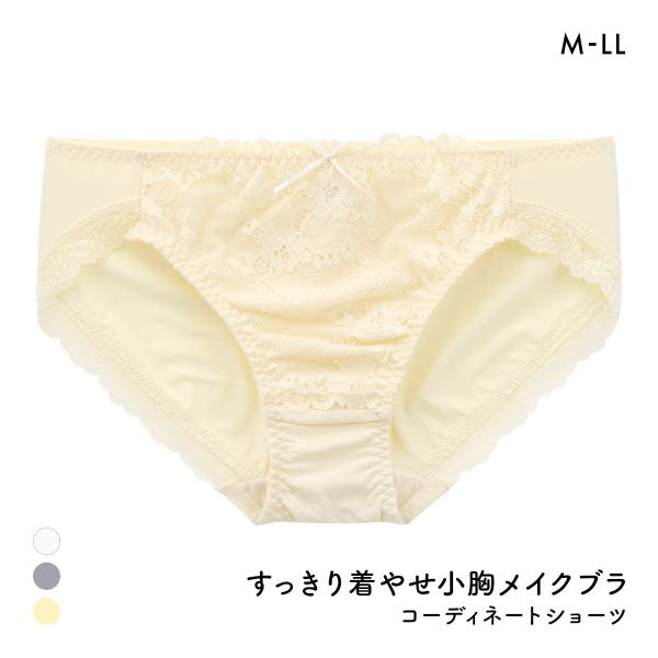 すっきり着やせブラ ペアショーツ レディース スタンダード ノーマル M L LL 大きいサイズ