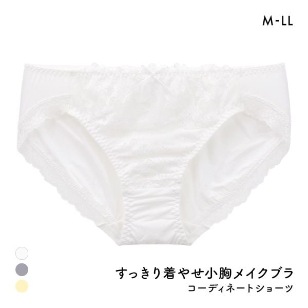 すっきり着やせブラ ペアショーツ レディース スタンダード ノーマル M L LL 大きいサイズ