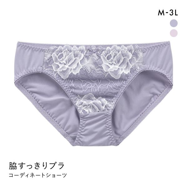 脇すっきりソフトワイヤーブラ ペアショーツ ノーマルショーツ スタンダード レディース