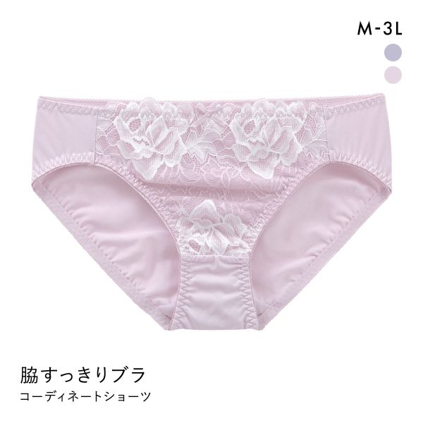 脇すっきりソフトワイヤーブラ ペアショーツ ノーマルショーツ スタンダード レディース