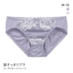 脇すっきりソフトワイヤーブラ ペアショーツ ノーマルショーツ スタンダード レディース