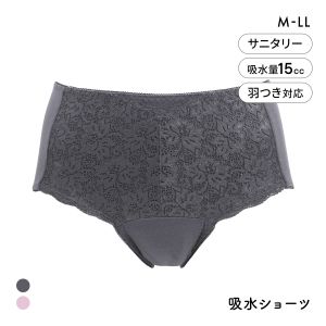 アッ！モーレ 吸水ショーツ 約15cc対応 抗菌防臭 軽失禁 尿モレ 羽根つき対応 フェムテック