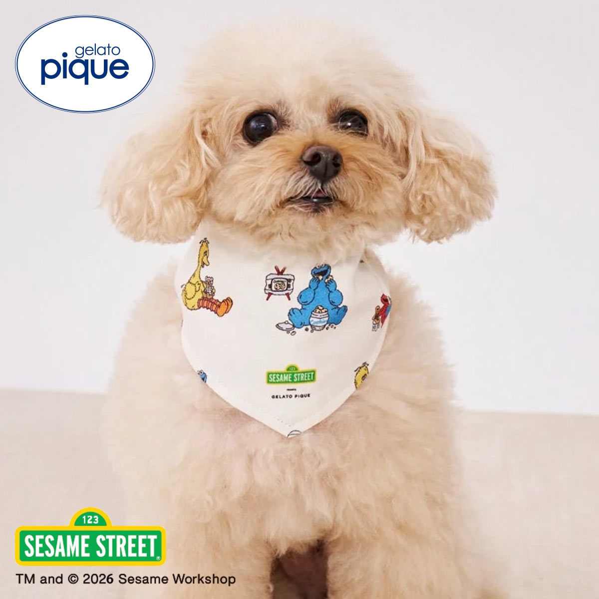 ジェラートピケ CAT&DOG SESAME STREET バンダナ セサミストリート ジェラピケ gelato pique