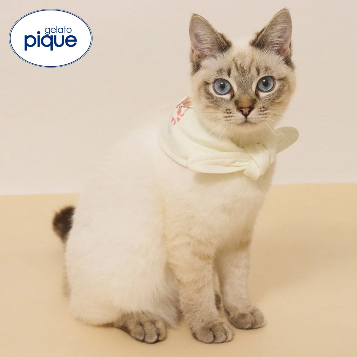 ジェラートピケ CAT&DOG サマーベア柄保冷剤入れバンダナ ジェラピケ gelato pique(IV-アイボリー-Free)