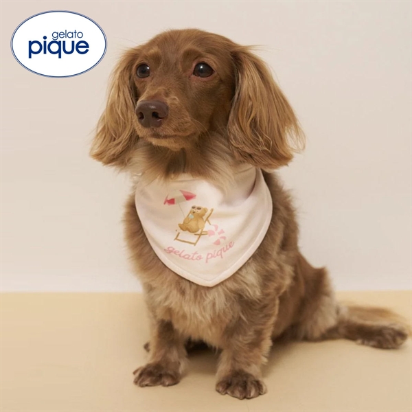 ジェラートピケ CAT&DOG サマーベア柄保冷剤入れバンダナ ジェラピケ gelato pique