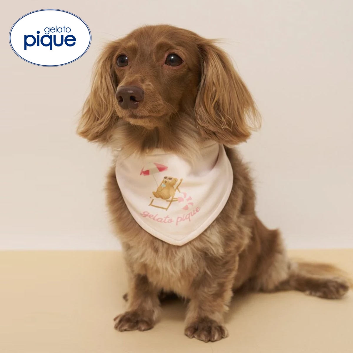 ジェラートピケ CAT&DOG サマーベア柄保冷剤入れバンダナ ジェラピケ gelato pique(PI-ピンク-Free)