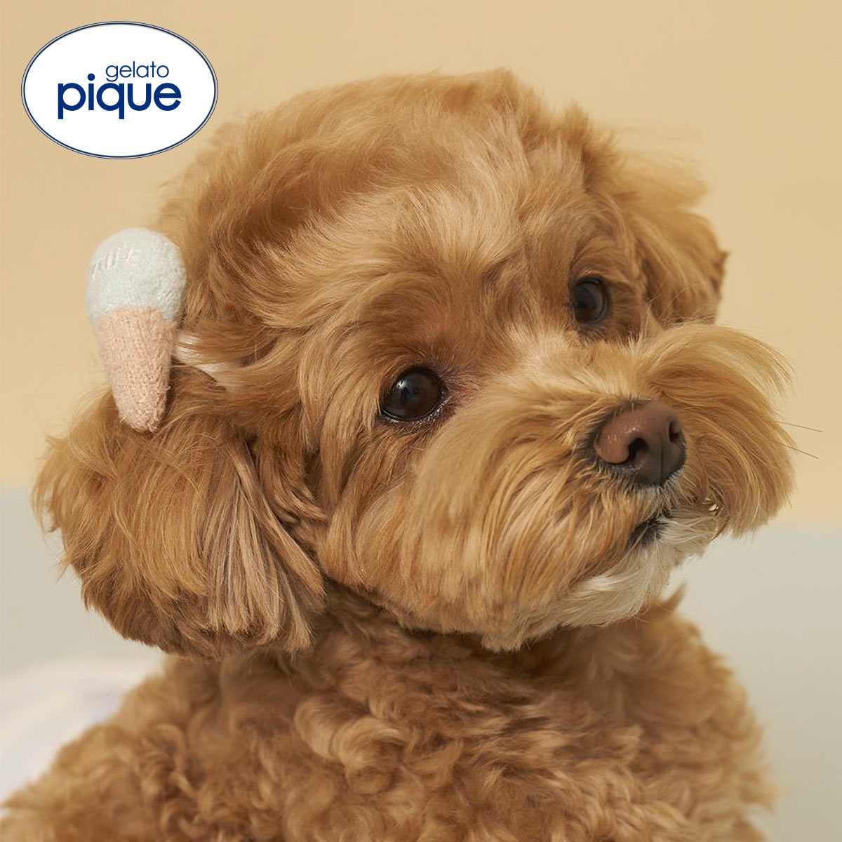 ジェラートピケ CAT&DOG サマーモチーフヘアゴム ジェラピケ gelato pique(BU-ブルー-Free)