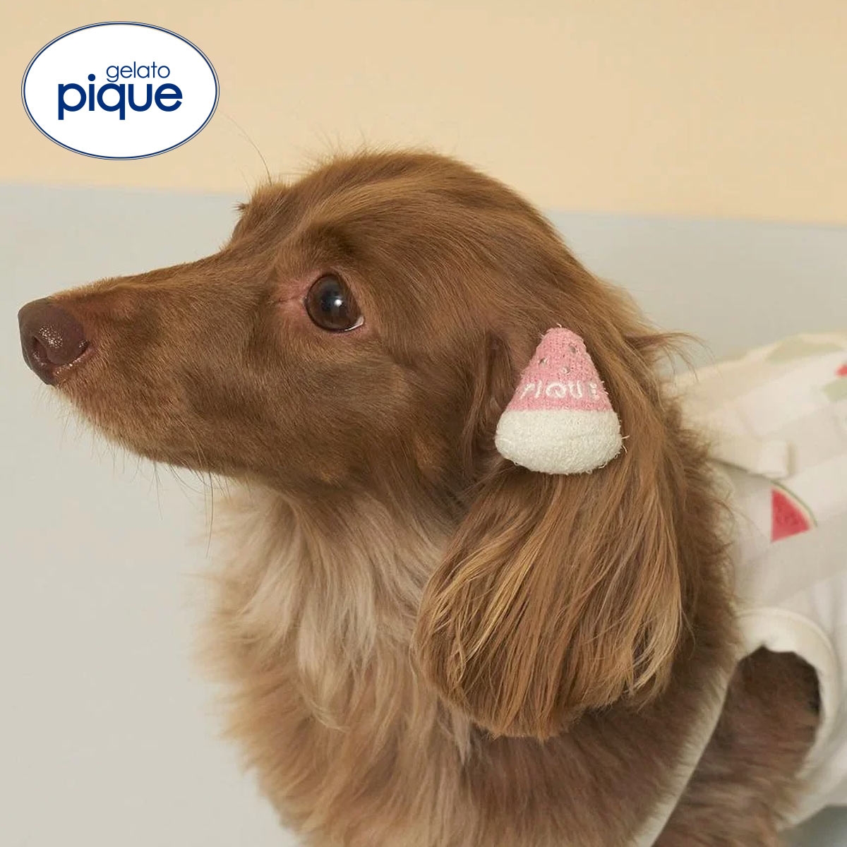 ジェラートピケ CAT&DOG サマーモチーフヘアゴム ジェラピケ gelato pique