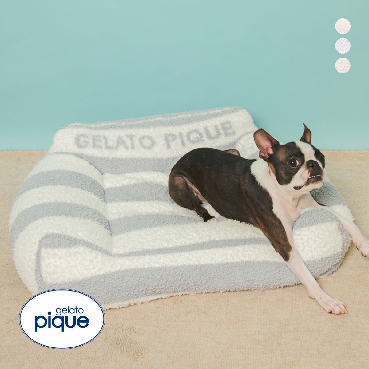 ジェラートピケ CAT&DOG 販路限定商品 ジェラートソファ型ベッド gelato pique(BU-ブルー-Free)