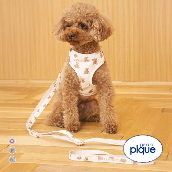 ジェラートピケ CAT&DOG 販路限定商品 モチーフ柄リード gelato pique