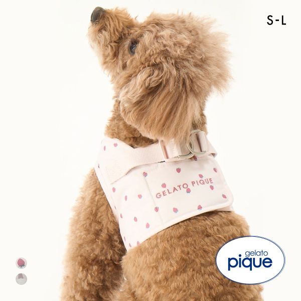 ジェラートピケ CAT&DOG 販路限定商品 モチーフ柄ハーネス gelato pique