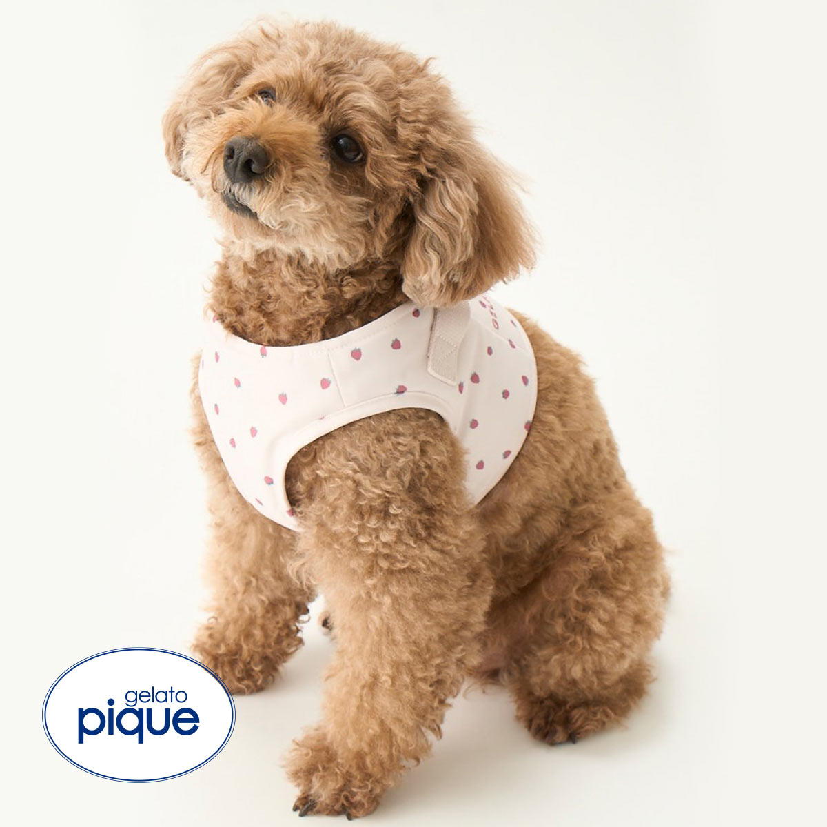 ジェラートピケ CAT&DOG 販路限定商品 モチーフ柄ハーネス gelato pique(PI-ピンク-M)