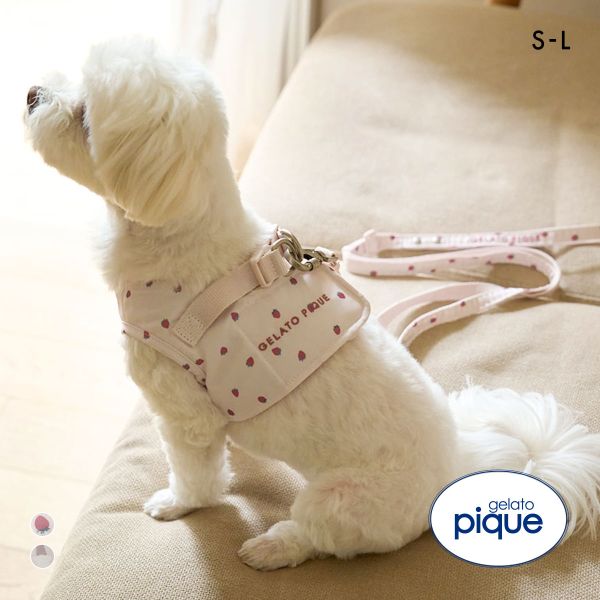 ジェラートピケ CAT&DOG 販路限定商品 モチーフ柄ハーネス gelato pique