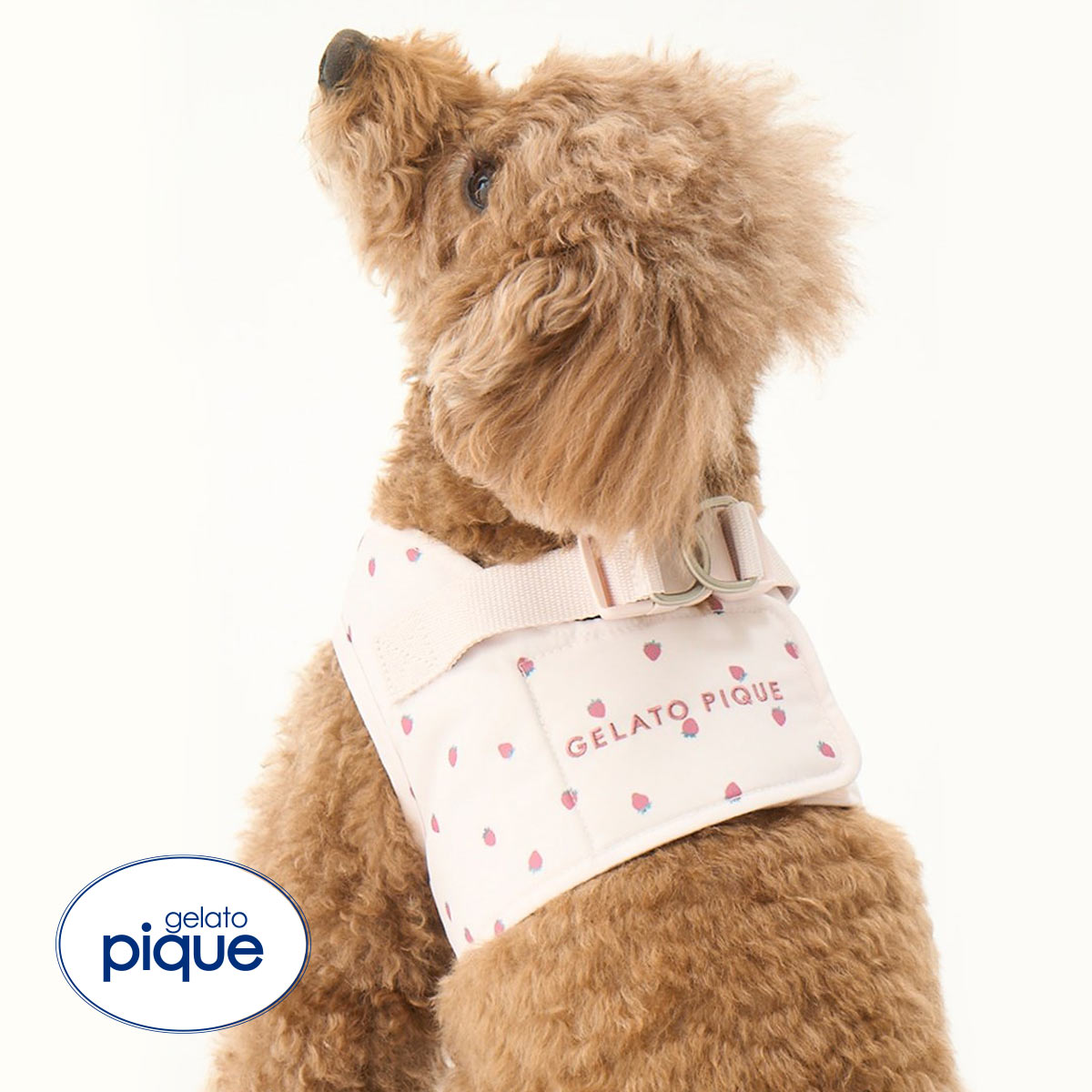 gelato pique　犬の洋服とハーネス　まとめ売り ジェラートピケ gelato pique 【CAT&DOG】【販路限定商品
