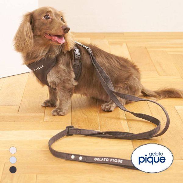 ジェラートピケ CAT&DOG 販路限定商品 リード gelato pique