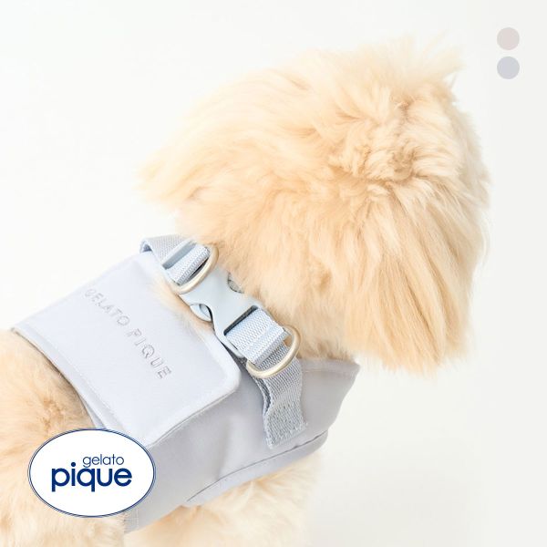 ジェラートピケ CAT&DOG 販路限定商品 ハーネス gelato pique