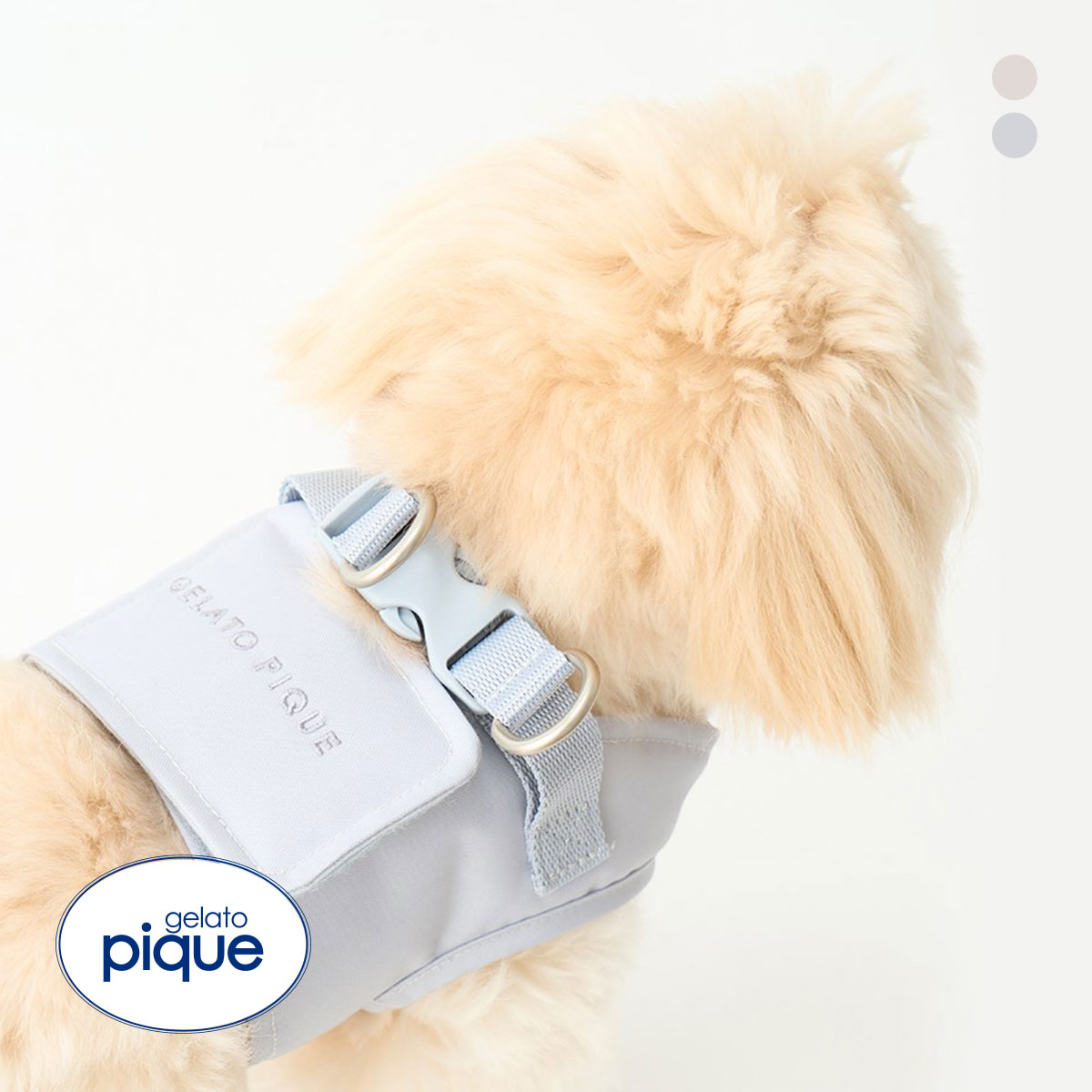 ジェラートピケ CAT&DOG 販路限定商品 ハーネス gelato pique(BU-ブルー-S)